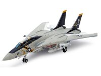 Grumman F-14A Tomcat