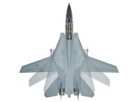 Grumman F-14D Tomcat