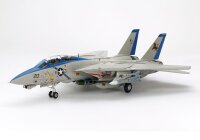 Grumman F-14D Tomcat