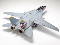 Grumman F-14D Tomcat