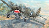 Curtiss P-40F Warhawk USAAF