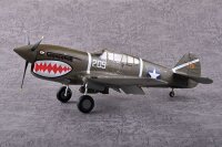 Curtiss P-40F Warhawk USAAF