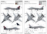 Grumman F-14B Tomcat