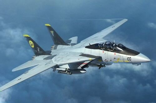 Grumman F-14D Tomcat