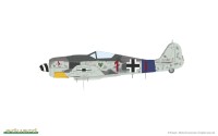 Focke-Wulf Fw-190A-8 with standard Wings