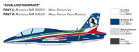 Aermacchi MB 339 P.A.N. 60th Anniversary