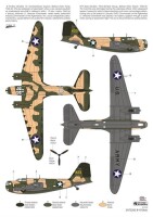 Douglas B-18 Bolo "War Service"