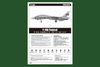 Grumman F-14A Tomcat VF-1 Wolf Pack""