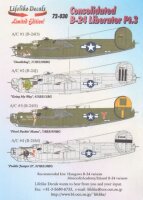 Consolidated B-24 Liberator - Part 3