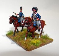 Napoleonic British Light Dragoons