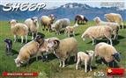 1/35 Sheep