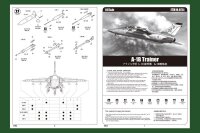 A-1B (AMX) Trainer Aircraft