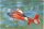 US Coast Guard HH-65C Dolphin 1:35