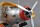 1/32 Douglas TBD-1 "Devastator"