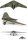 1/72 Horten Ho-229 "Wunderwaffe"