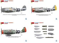 1/48 P-47D-25RE Thunderbolt - Advanced Kit