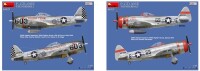 1/48 P-47D-30RE Thunderbolt - Basic Kit