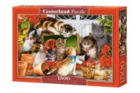 Kittens Play Time - Puzzle 1500 Teile