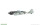 Focke-Wulf Fw-190A-8/R2 Weekend edition