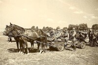 Three-Horse Cavalry Carriage for 37mm Bofors wz. 36