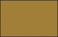 C19 Mr. Color Sandy Brown / Sandbraun seidenmatt 10 ml