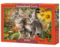 Kitten Buddies - Puzzle 1500 Teile