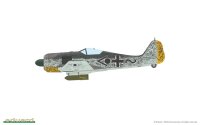 1/48 Focke-Wulf Fw-190A-5 Light Fighter