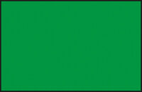 100 Fluorescent Green (gloss) 10 ml