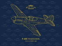 1/48 Curtiss P-40E Warhawk Dual Combo "Royal...