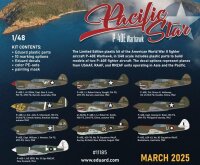 1/48 PACIFIC STAR Curtiss P-40E Warhawk DUAL COMBO