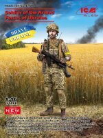 1/16 Soldier of the Armed Forces of Ukraine