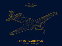 1/48 Curtiss P-40N Warhawk Dual Combo "Royal...