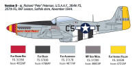 1/72 P-51D Mustang Aces