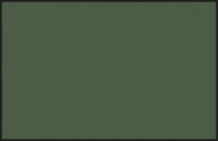 23 Mr. Color Dark Green (2) / Dunkelgrün seidenmatt...