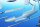 1/48 SIAI-Marchetti SF-260EA/D/EU "Late Bulged Canopy Type"