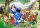 Snow White and the Seven Dwarfs - Maxi Puzzle 40 Teile