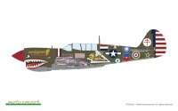 1/48 15000th P-40N Warhawk - Limited Edition