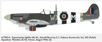 1/24 Supermarine Spitfire Mk.IXc - Flying Dray