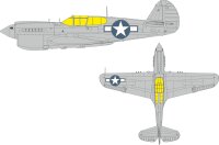 1/48 P-40N Warhawk US national insignia