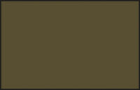 C55 Mr. Color Khaki matt 10 ml