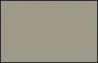 C60 Mr. Color RLM02 Gray / Grau seidenmatt 10ml