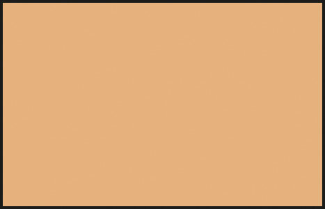 C51 Mr. Color Flesh semi-gloss / Hautfarbe seidenmatt 10 ml