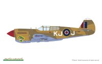 1/48 Kittyhawk - Dual Combo - Limited Edition