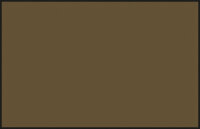 C369 Mr. Color Dark Earth BS381C/450 / Dunkle Erde 10ml