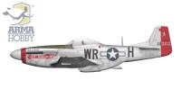 1/72 P-51K Mustang