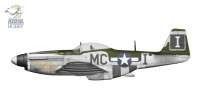 1/72 P-51D Mustang