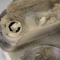 Splatter Effects - Accumulated Dust 100ml