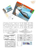 1/48 Gloster E28/39 Pioneer