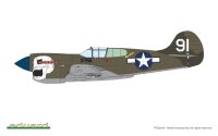 1/48 P-40K Warhawk Dual Combo "Royal Class"