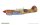 1/48 P-40K Warhawk Dual Combo "Royal Class"